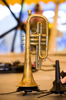 Trumpet Royalty Free Stock Photos Trumpet Royalty Free Stock Photos