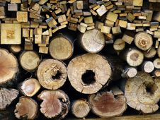 Logs Cut Stock Photo Logs Cut Stock Photo