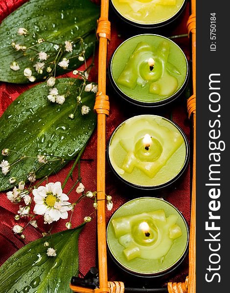 Row of green candles and white flowers