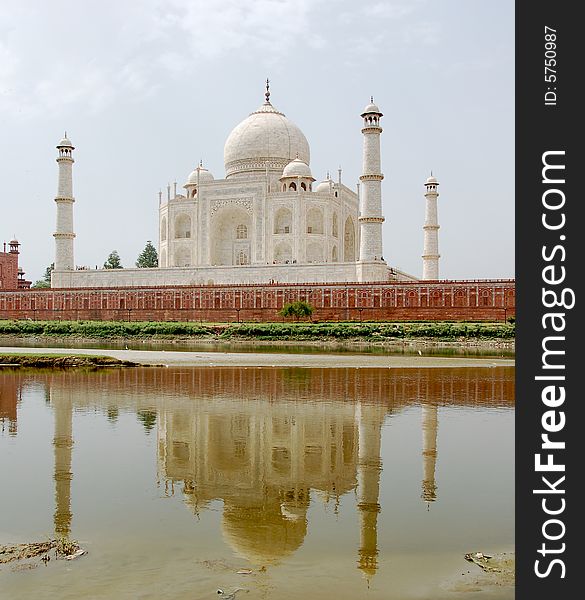 The Taj Mahal from the back reflected in the river. The Taj Mahal from the back reflected in the river