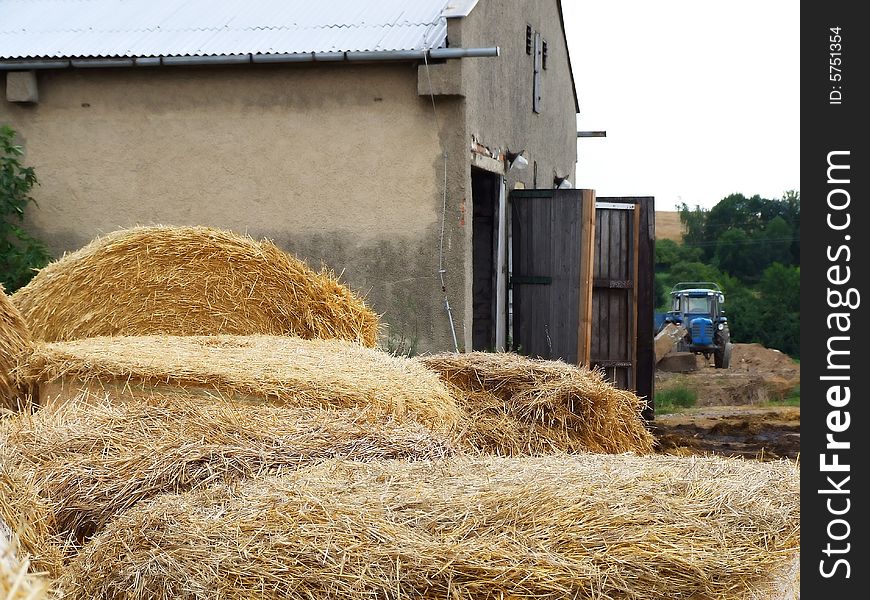 Hay preparation in villages after harvesting. Hay preparation in villages after harvesting