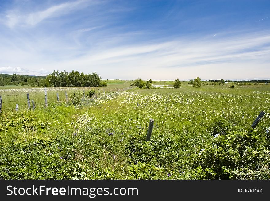 Country side landscape with grass and old fense