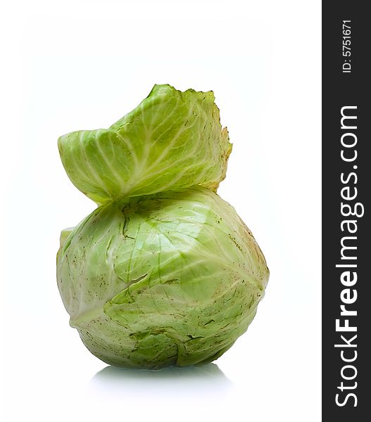 Cabbage isolated on white for your new design