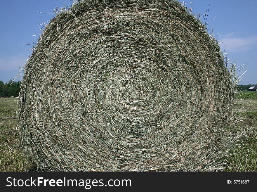 Rolled Bale of Hay