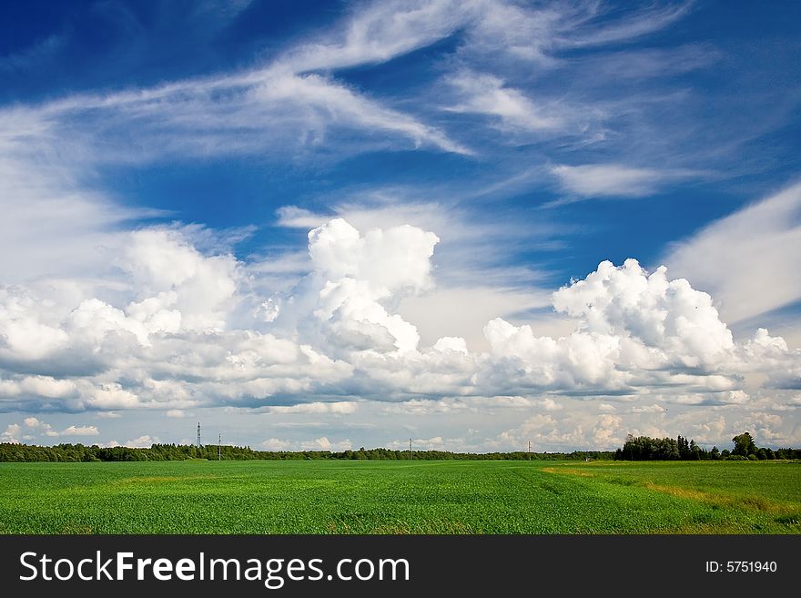 A green meadow and a blue sky with clouds.