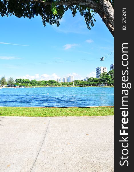 View of a Park with extra ordinary blue sky. Suitable for environmental context or illustrating peaceful, green environment, urban planning. View of a Park with extra ordinary blue sky. Suitable for environmental context or illustrating peaceful, green environment, urban planning