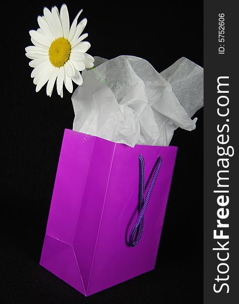 Summer daisy in a colorful purple bag. . Summer daisy in a colorful purple bag.