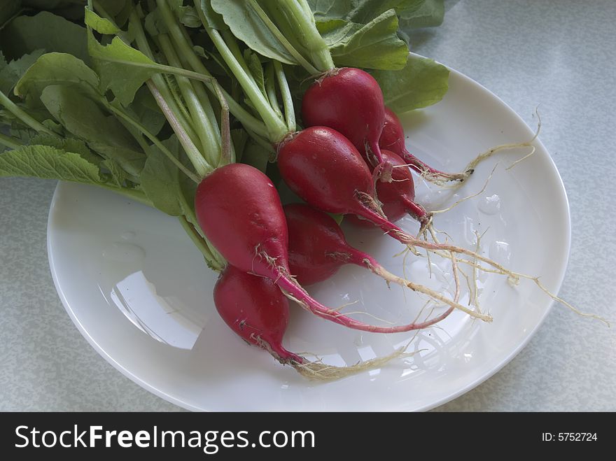 Fresh garden radishes on white plate