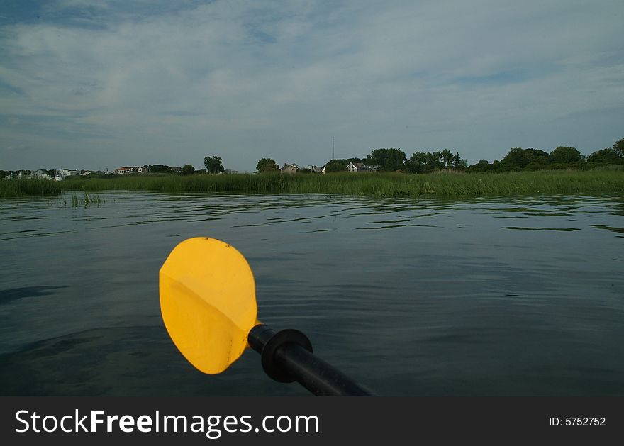 Front of kayak facing immediate reeds