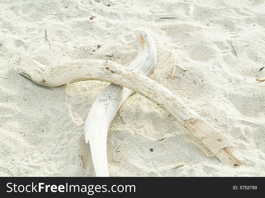 X formed by branches of driftwood on sand. X formed by branches of driftwood on sand