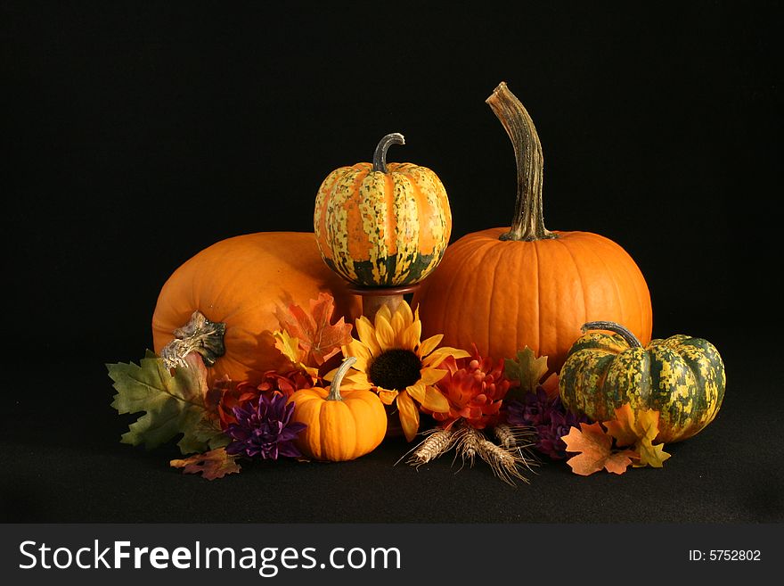 An autumn display of pumpkins, gourds indian corn and flowers with room for copy. An autumn display of pumpkins, gourds indian corn and flowers with room for copy.