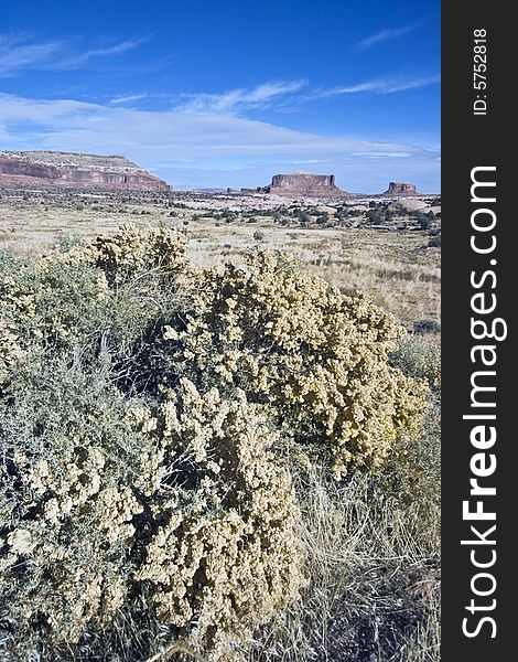 Panorama of Canyonlands National Park in Utah