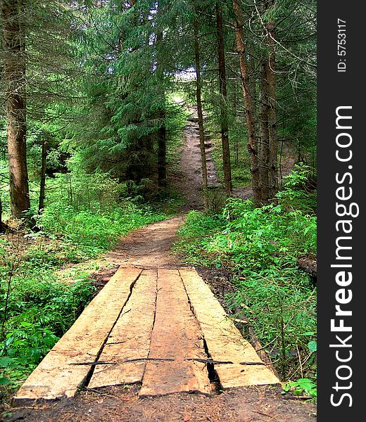The bridge in a coniferous wood. Russia. The bridge in a coniferous wood. Russia