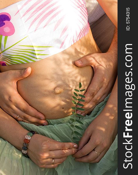 Close-up of pregnant woman with her and her husband hands on a belly. Close-up of pregnant woman with her and her husband hands on a belly