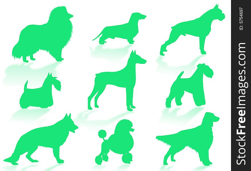 Dogs silhouette to represent different dog breeds. Dogs silhouette to represent different dog breeds