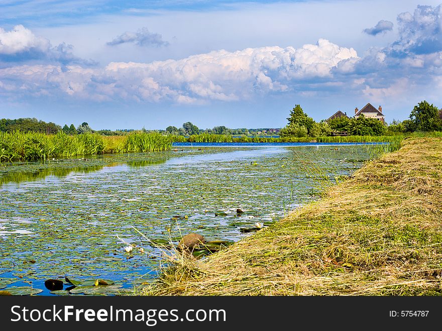 A Typical Dutch Landscape with a canal in a meadow.