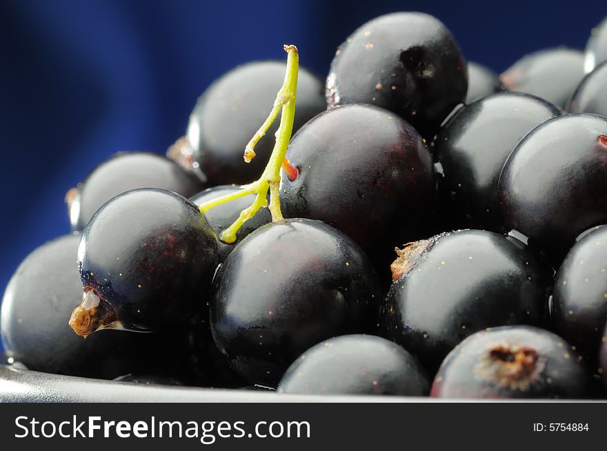 Black currants on the blue background. Narrow depth of field. Black currants on the blue background. Narrow depth of field.