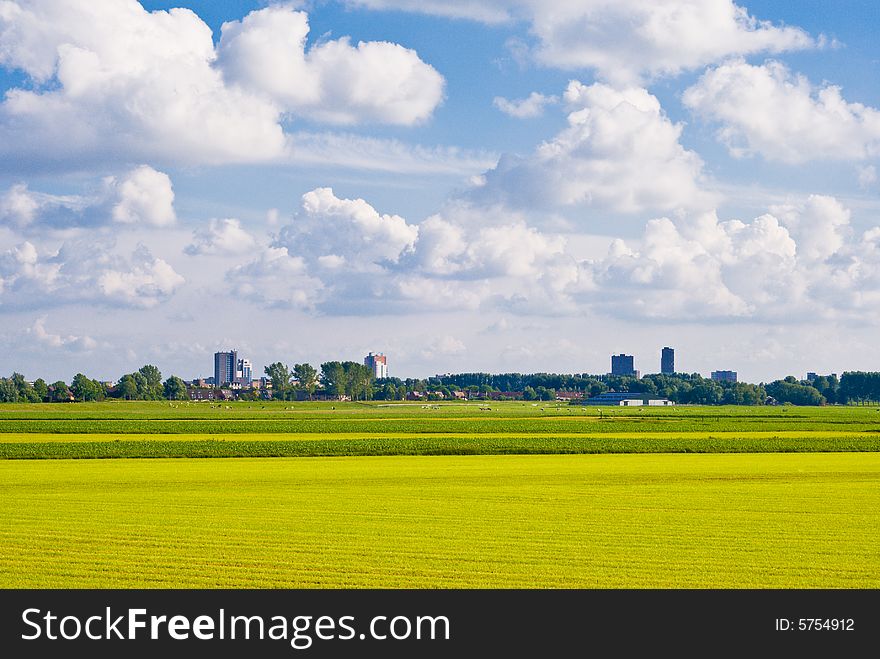 Meadow and Skyscrapers