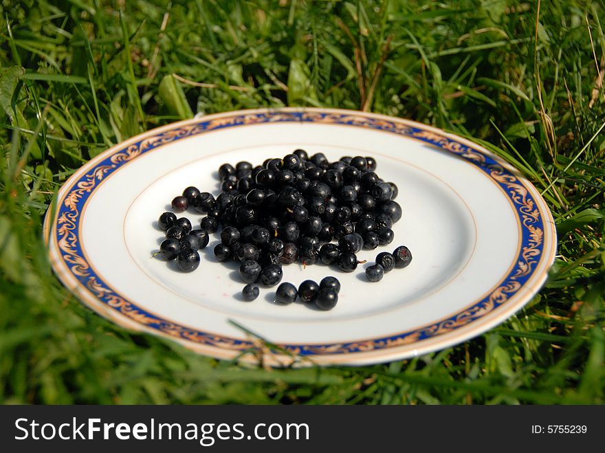 Berry on the plate on the background of grass