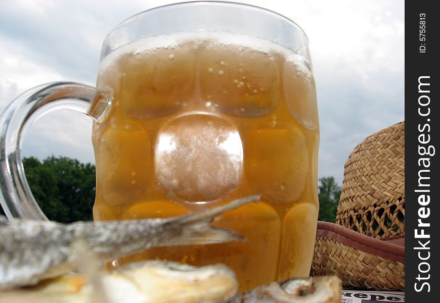 The misted over mug of beer and a dried fish. The misted over mug of beer and a dried fish