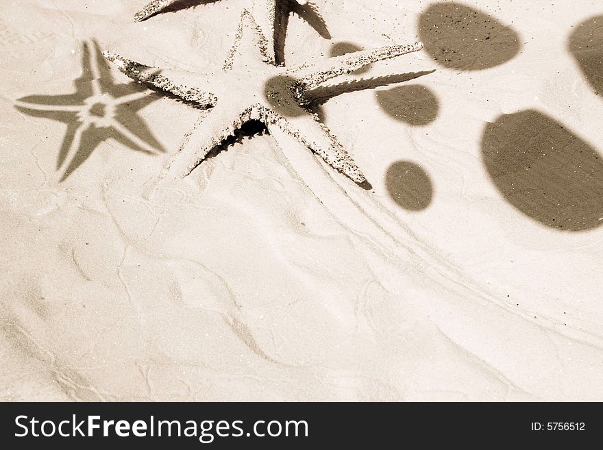 Sparkling starfish and ball shadows on the sand. Sepia tone. Large space for copy.