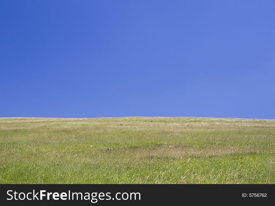 Meadow with grass and rocks in the summer. Meadow with grass and rocks in the summer