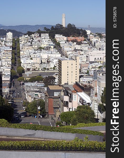 A view of downtown San Francisco containing Coit Tower. A view of downtown San Francisco containing Coit Tower.