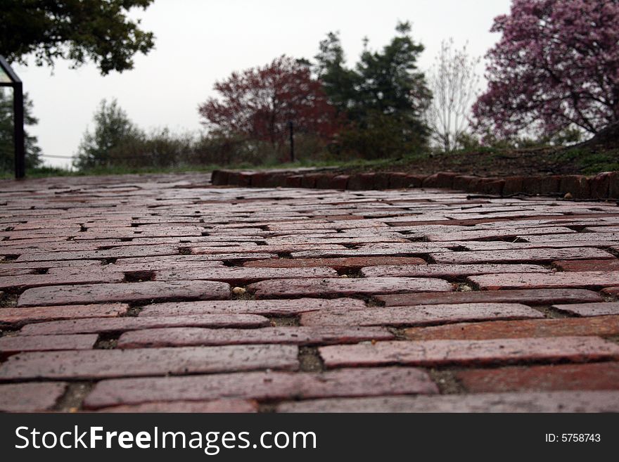 An old red brick walkway leading up to some flowering trees.