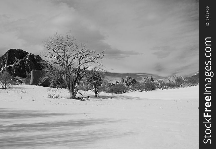 A barren winter tree along the rock formations of the Colorado Foothills. A barren winter tree along the rock formations of the Colorado Foothills.