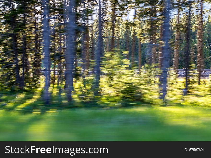 Motion Blur.  Blue sky peaking through tree line.  You can almost make out the railroad tracks behind the trees. Motion Blur.  Blue sky peaking through tree line.  You can almost make out the railroad tracks behind the trees.