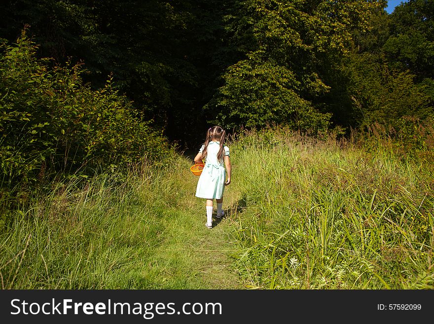 Little girl in green dress goes to the forest. Little girl in green dress goes to the forest