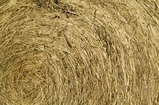 Hay Bale Roll Background Texture Stock Photo Hay Bale Roll Background Texture Stock Photo