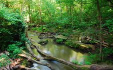 Creek Royalty Free Stock Image Creek Royalty Free Stock Image