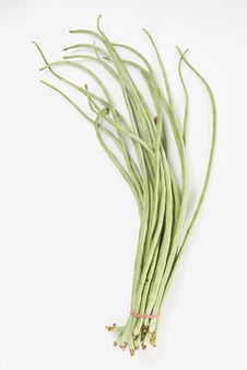 String Beans Royalty Free Stock Photos String Beans Royalty Free Stock Photos