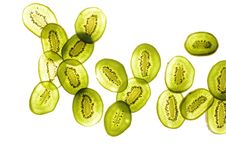 Abstract Sliced Kiwi On White Royalty Free Stock Photography Abstract Sliced Kiwi On White Royalty Free Stock Photography