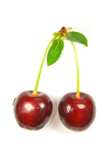 Pair Of Cherries With Fruit Stem And Green Leafs Royalty Free Stock Photos Pair Of Cherries With Fruit Stem And Green Leafs Royalty Free Stock Photos