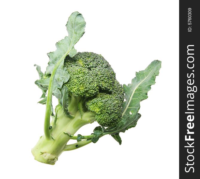 Broccoli isolated against a white background. Broccoli isolated against a white background