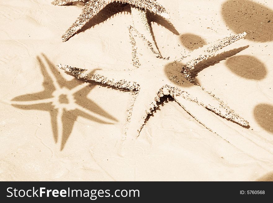 Sparkling starfish and ball shadows on the sand. Sepia tone. Vacation and sea concept.