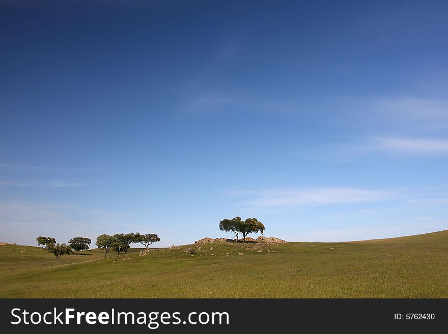 Spring time landscape; picture taken in the Portuguese countryside. Spring time landscape; picture taken in the Portuguese countryside.