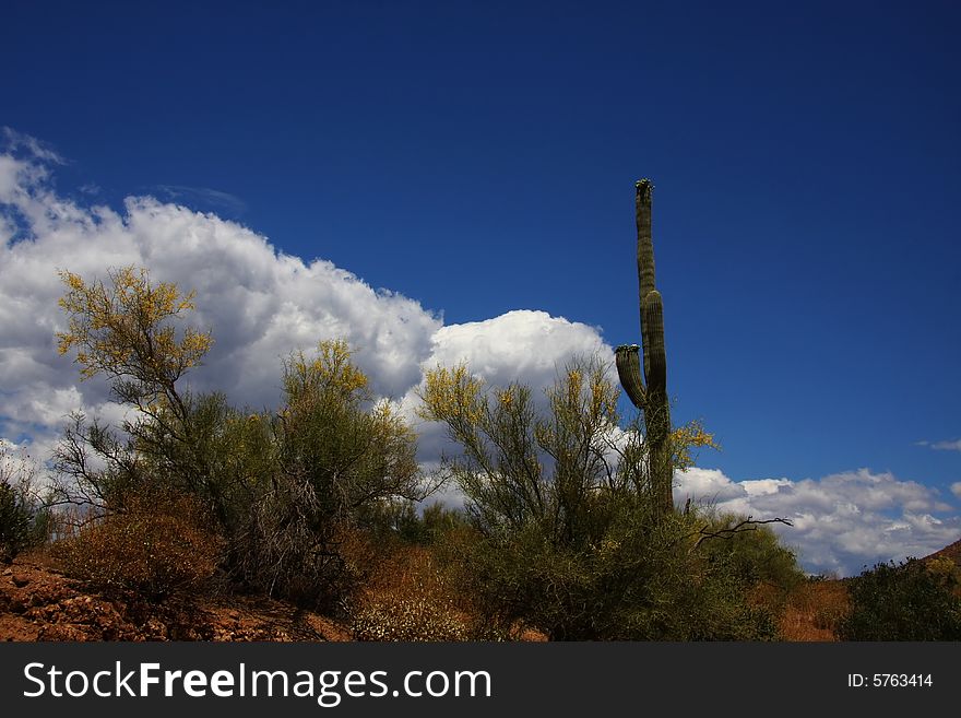 View of Azoriona desert with clouds. View of Azoriona desert with clouds