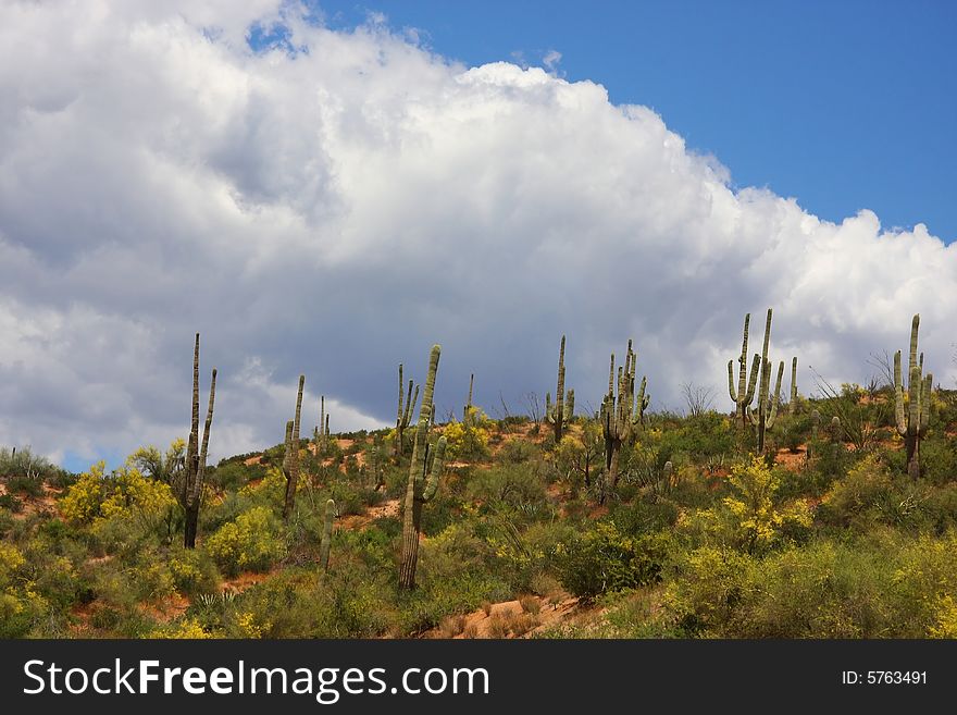 View of Azoriona desert with clouds. View of Azoriona desert with clouds