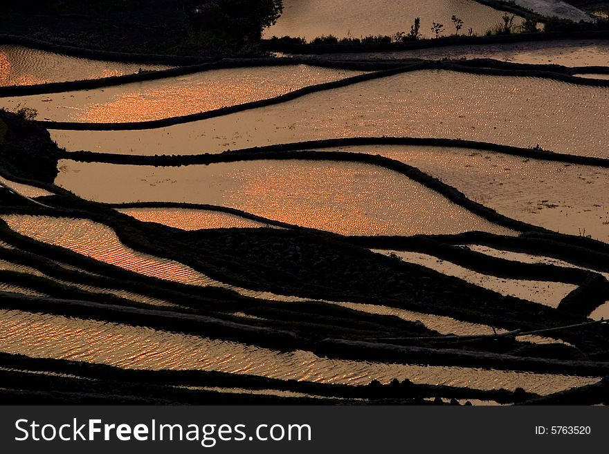 Terraced field in Yunyang, Yunnan provice of China.