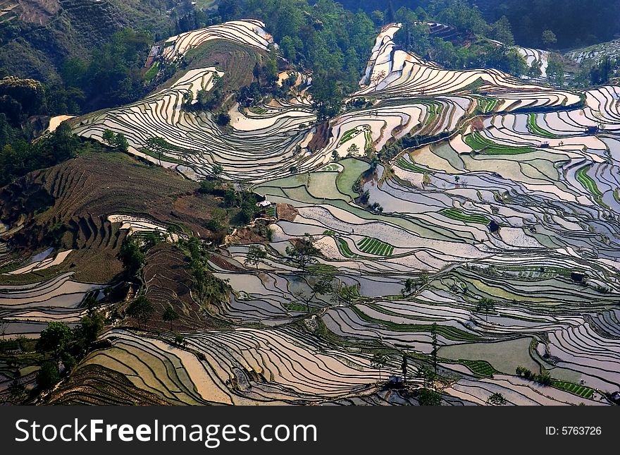 Terraced field in Yunyang, Yunnan provice of China.