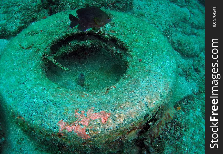 Tire underwater Florida