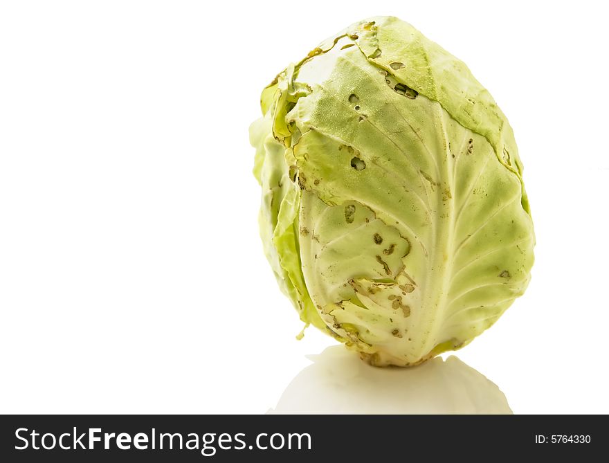 100% organically grown cabbage in backyard farm