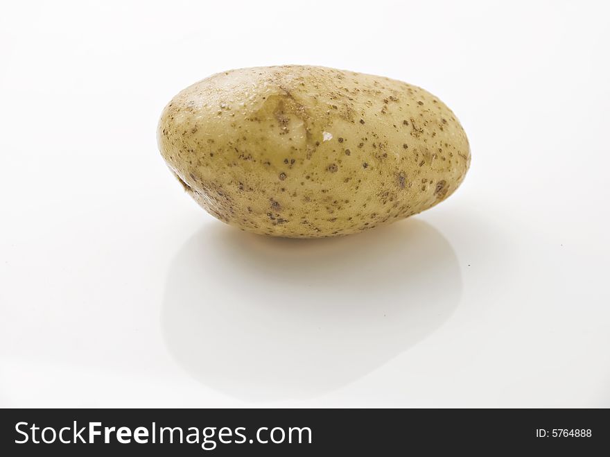 Single potato on white background