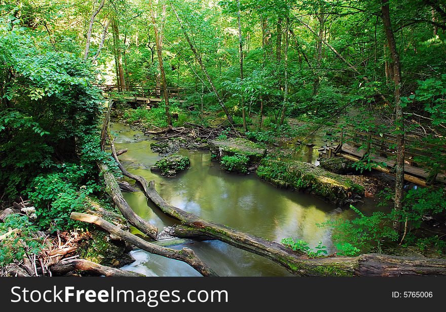 This is a shot of a creek. This particular part opens up and the water is slowed down. There are some fallen trees and other interesting objects in the shot, including a small bridge on the right.