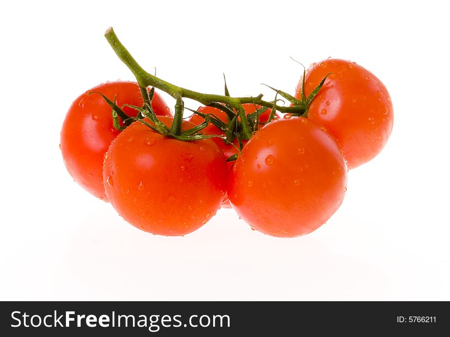 Bunch of tomatoes on white ground