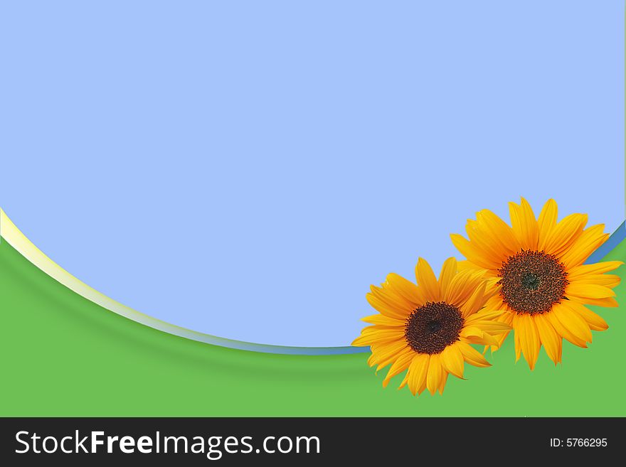 Abstract background with two sunflower