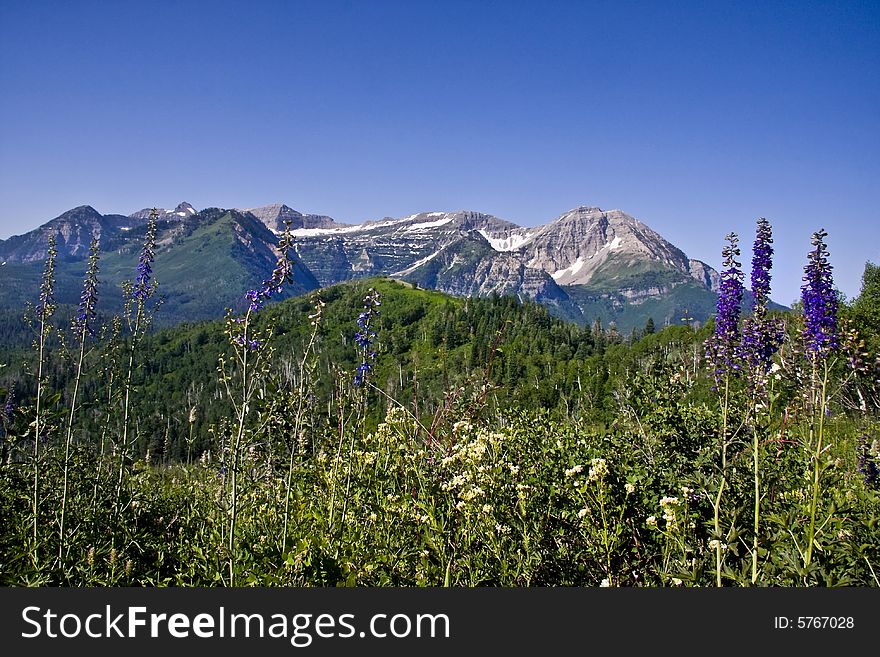 Rocky Mountains in the spring showing trees and snow capped mountains. Rocky Mountains in the spring showing trees and snow capped mountains